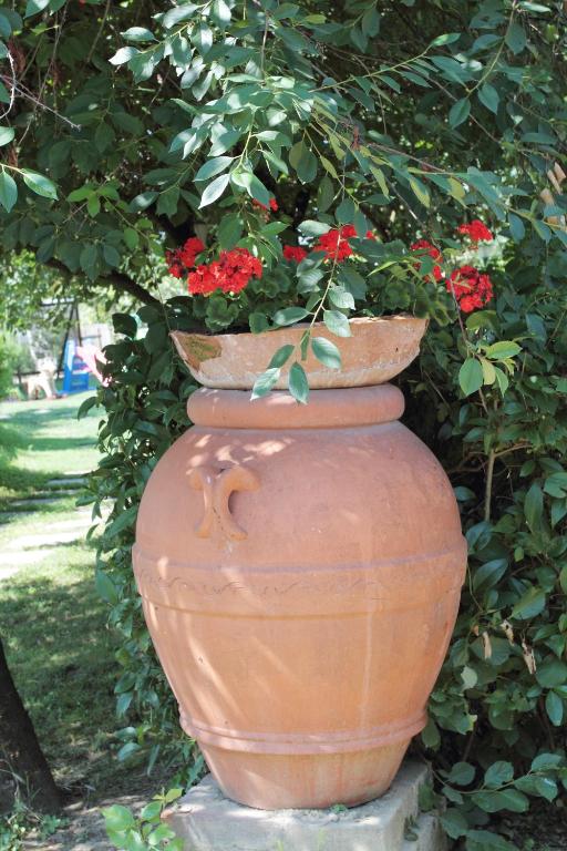 Vonkajšia záhrada v ubytovaní Agriturismo Le Stringaie