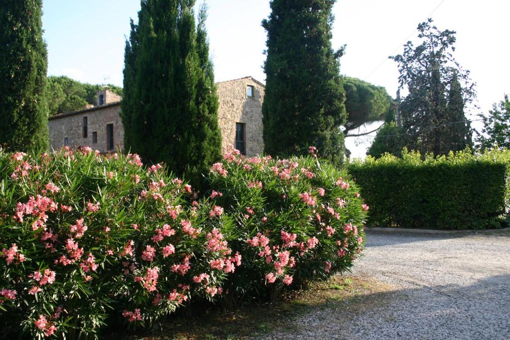 A garden outside Casaleaurelia