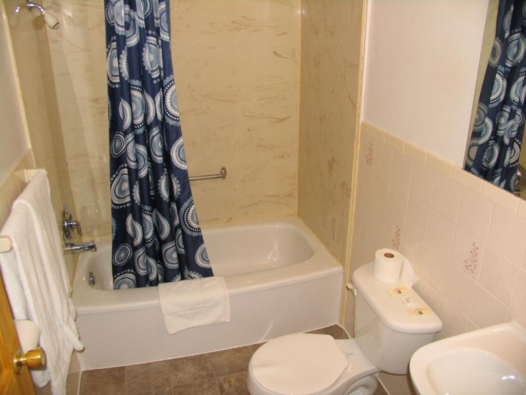 Koupelna v ubytování Seven Oakes Motel