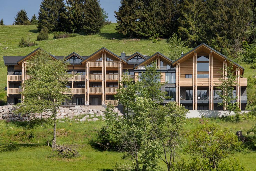 uma vista exterior de uma grande casa numa colina em Black Forest Lodge em Feldberg