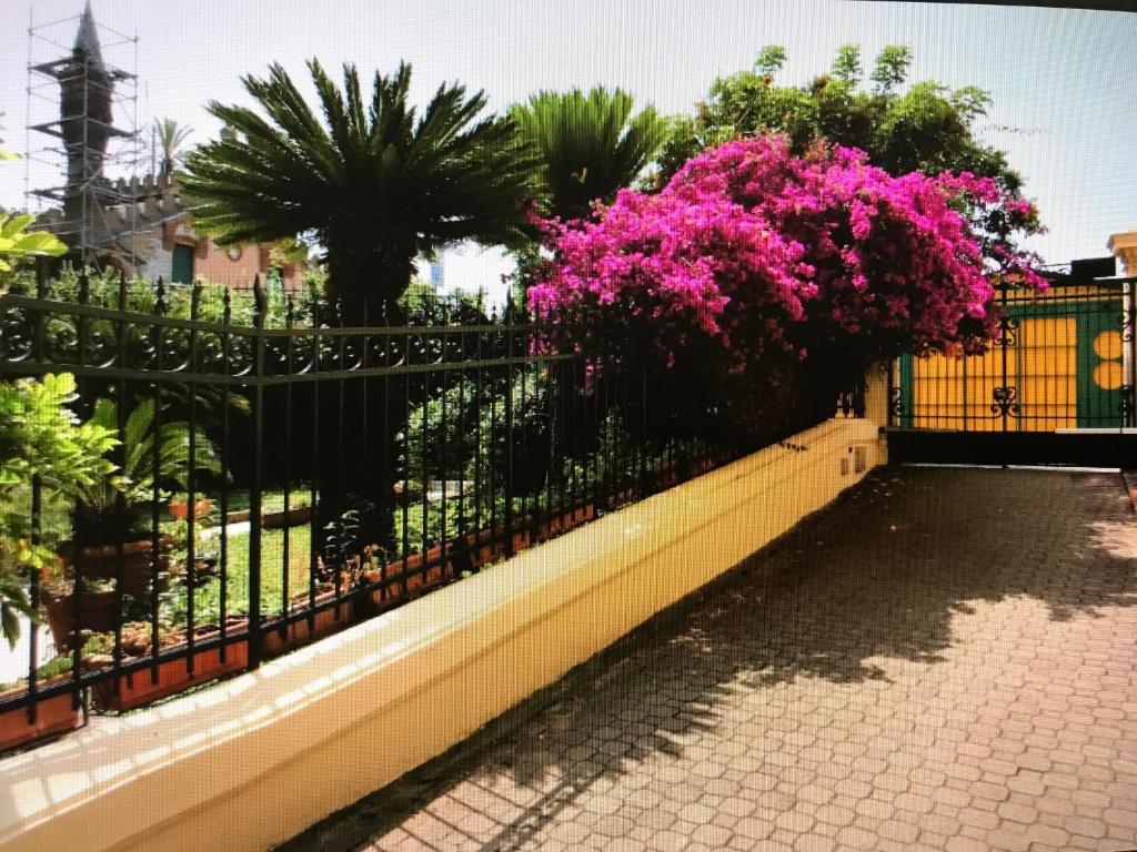 A garden outside BLUE Apartment