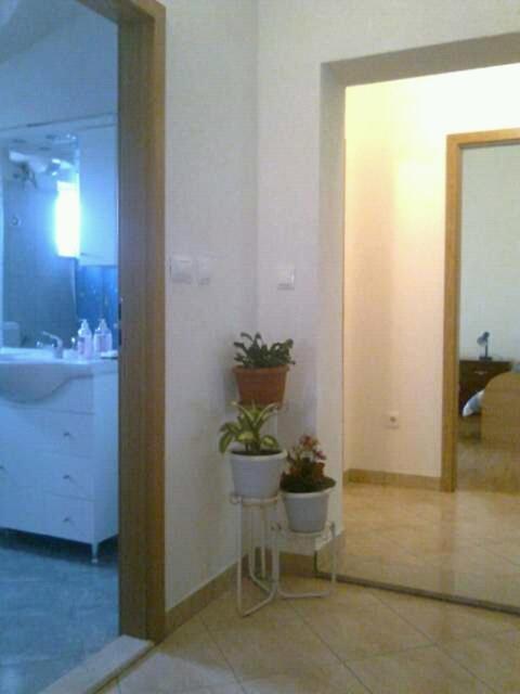 Koupelna v ubytování Trilj Apartman Jurika