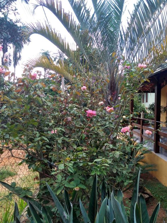 a garden with pink flowers and a palm tree at Pousada Licuri in Serra do Cipo
