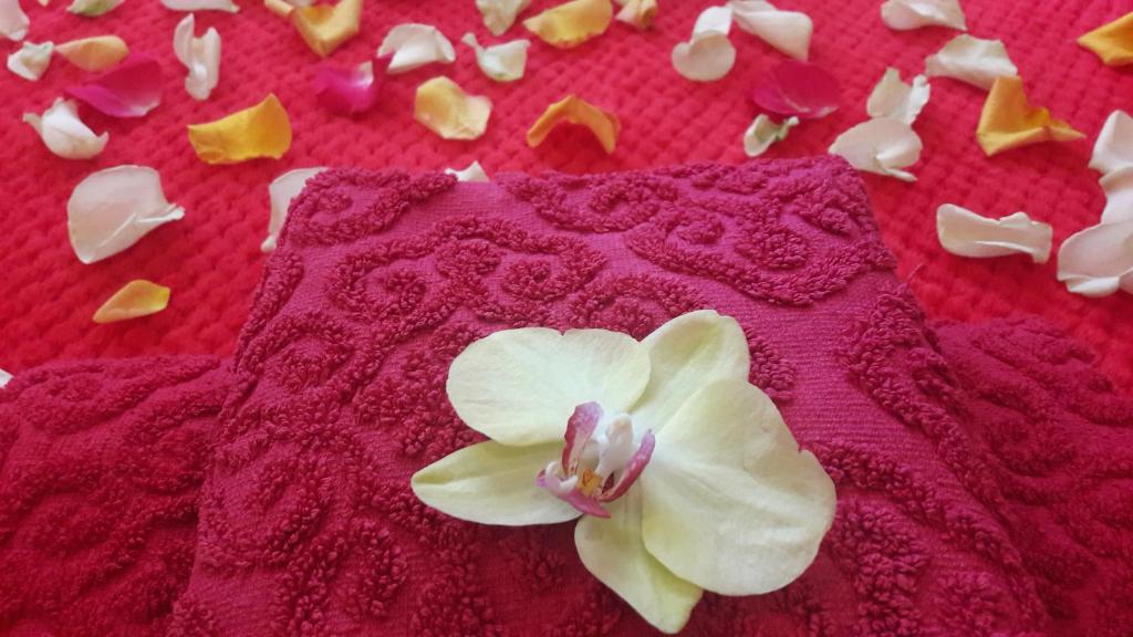 Jacuzzi Apartment Red - 10