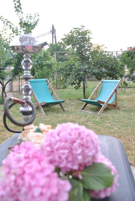 Vrt ispred objekta Haamel Apartment