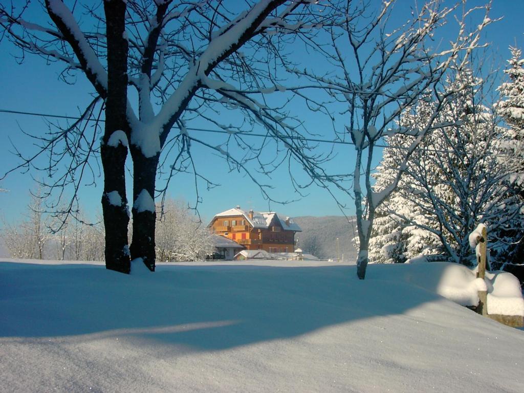 Hotel da Barba B&B v zimě