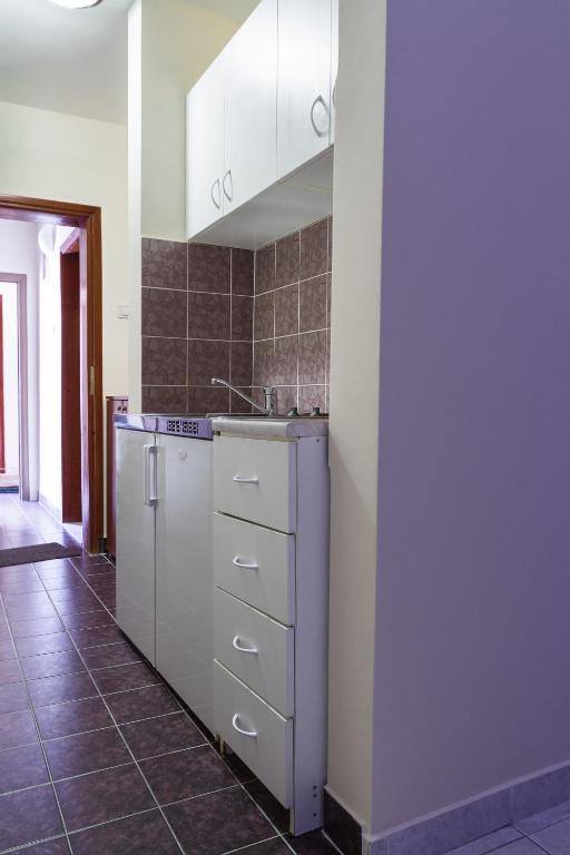 Kuchyň nebo kuchyňský kout v ubytování Villa Dionis