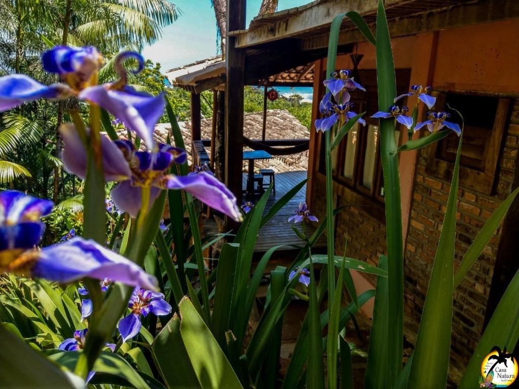  Casa Natura Itacare SurfHouse