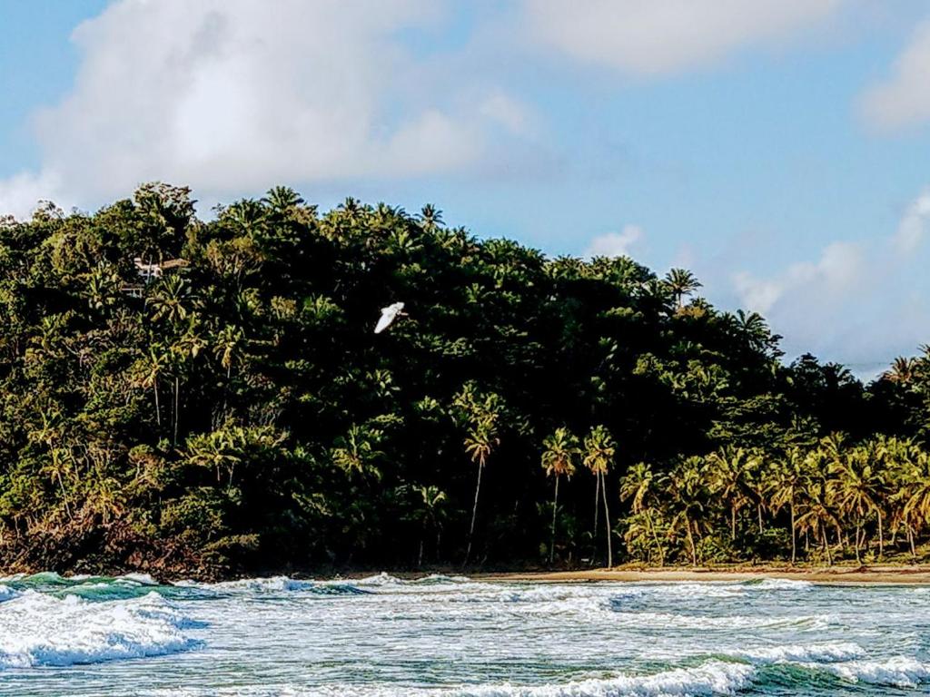  Casa Natura Itacare SurfHouse