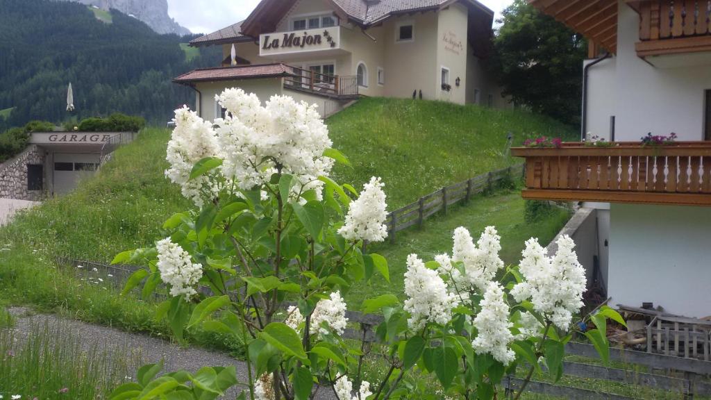 Příroda nedaleko hotelu