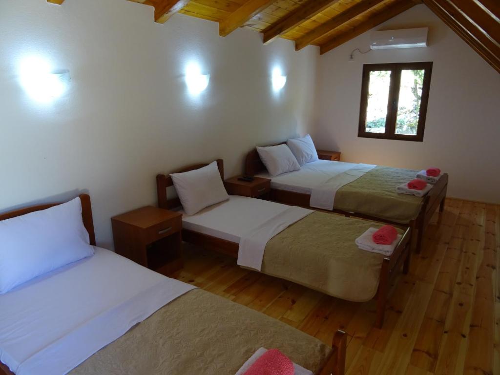 Apartmani Vinici - 9