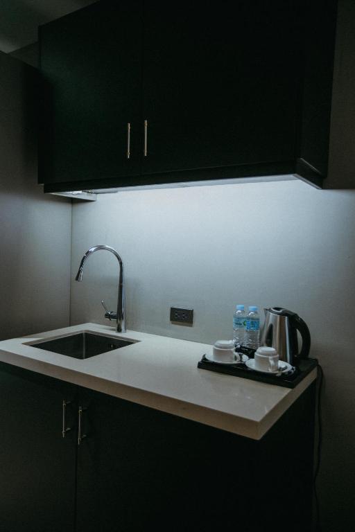 Kuchyň nebo kuchyňský kout v ubytování PVL Suites