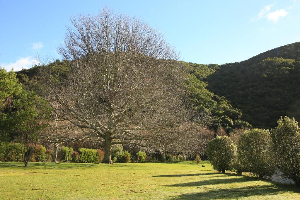 Parklands Marina Holiday Park - Resim 8