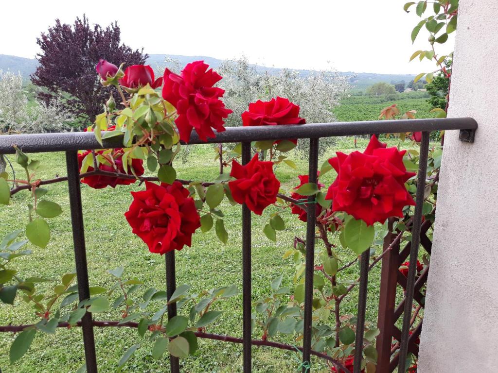 Zahrada ubytování L'Orto sul Poggio