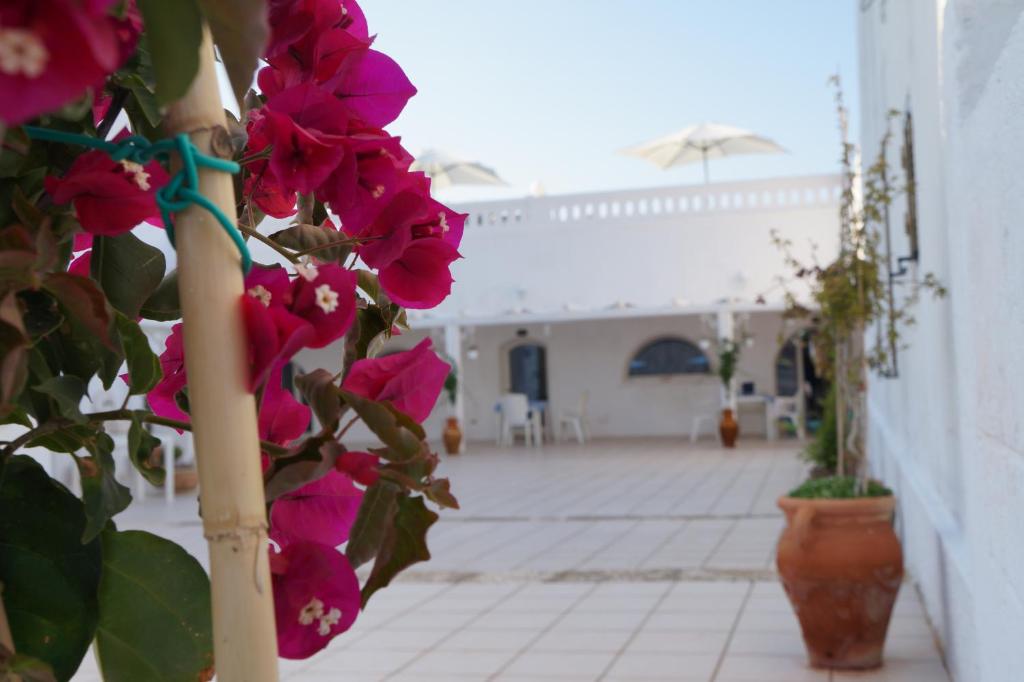 Foto de la galería de Masseria Di Benedetto en Ostuni