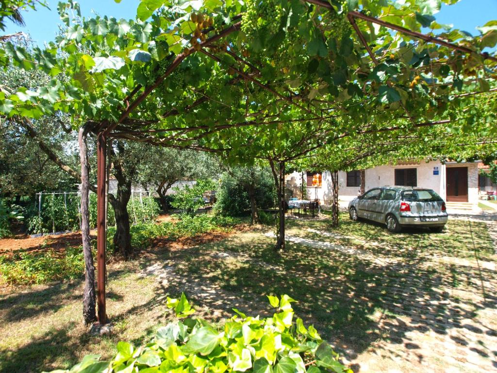 samochód zaparkowany na podwórku pod drzewem w obiekcie Apartments Biskupije 940 w Medulinie