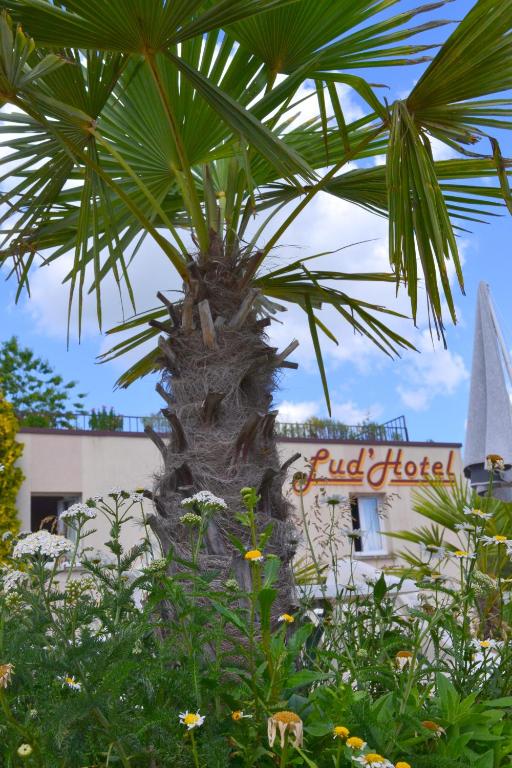 Příroda nedaleko hotelu