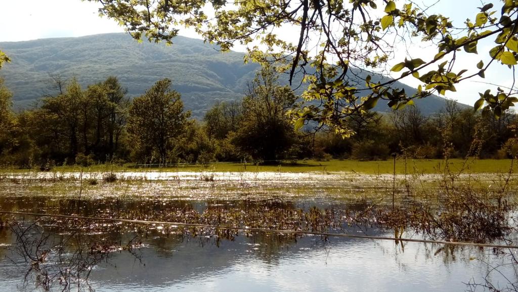 Príroda v okolí penziónu