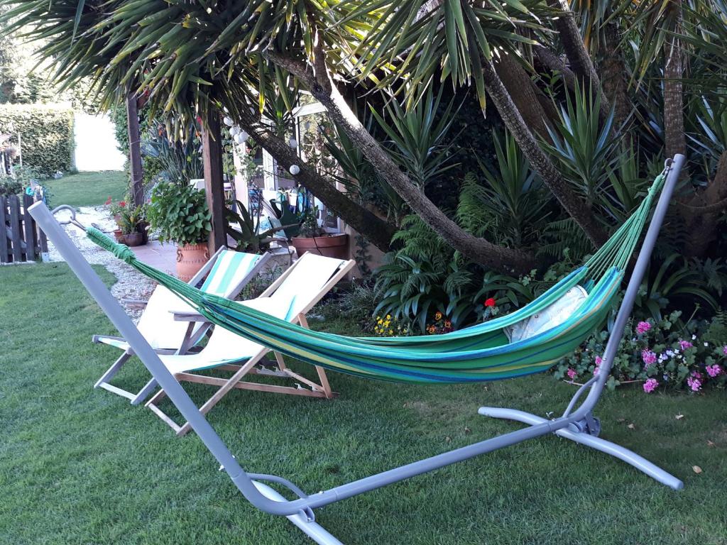 El Atico de Villalmar - 10