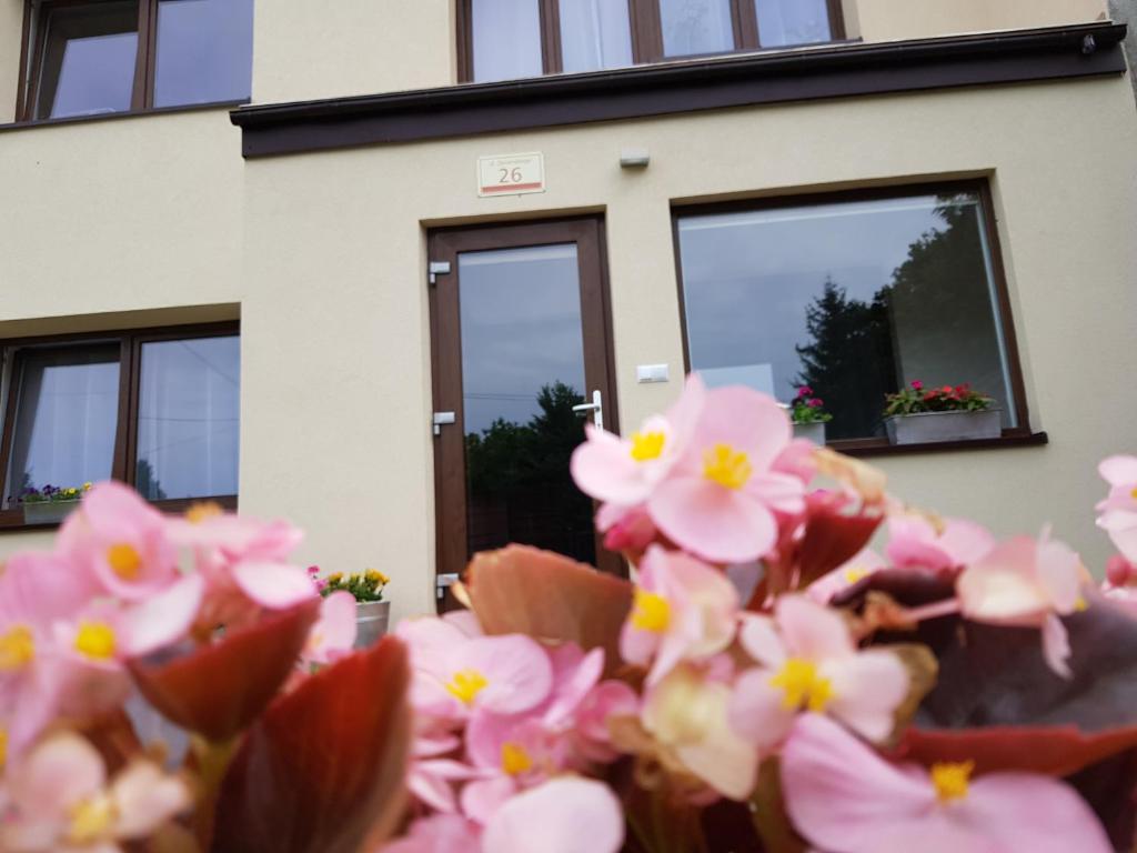 Sielskie Apartamenty - 17