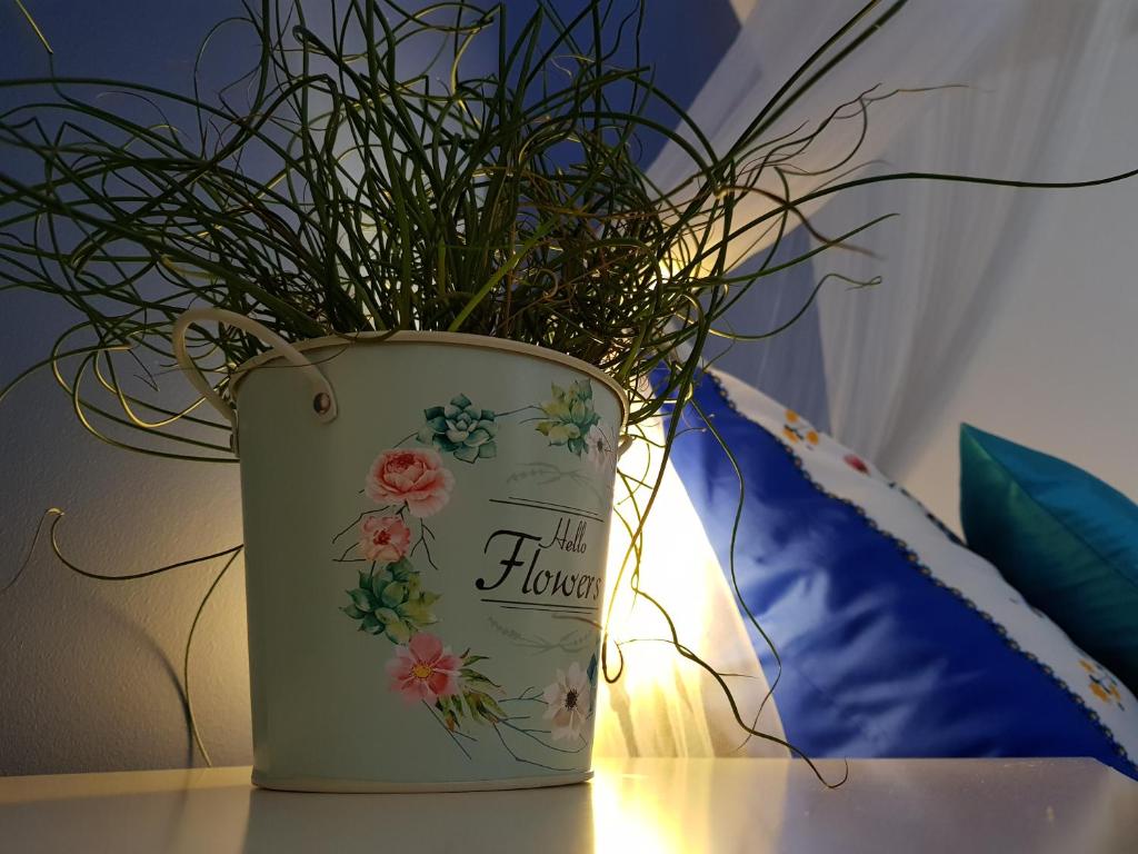 Sielskie Apartamenty - 4