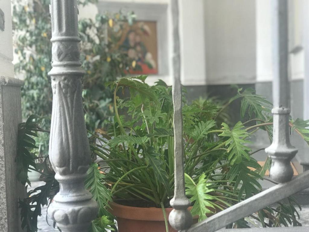 Ogród w obiekcie B&B La Corte