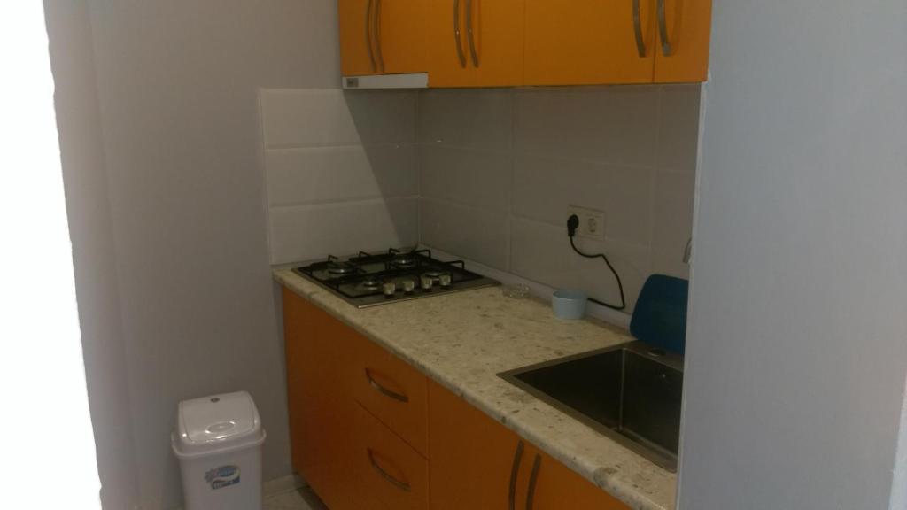 Kuchyň nebo kuchyňský kout v ubytování Guest House Guriani