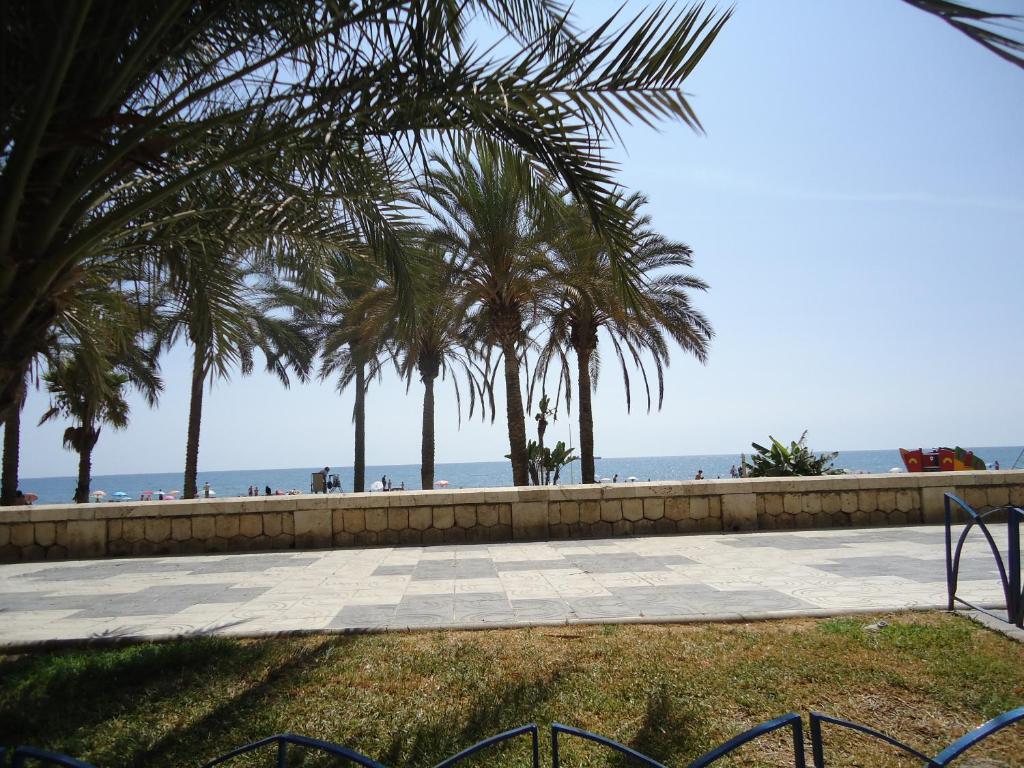 マラガにあるMalagueta, Primera Linea de Playaのヤシの木と海岸を背景にした歩道