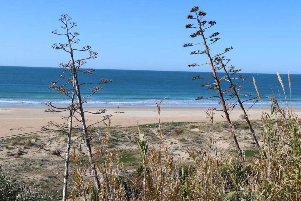 een strand met de oceaan op de achtergrond bij Apartamento Velarde III in Conil de la Frontera