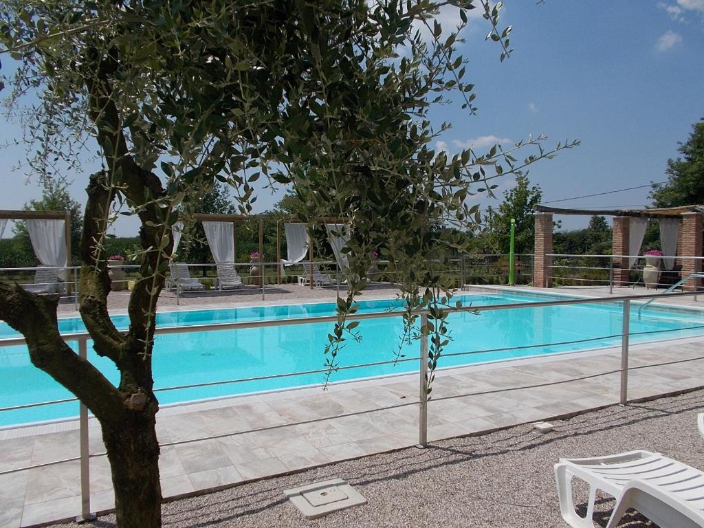 een boom voor een zwembad bij B&B Casazze Dream in Marcaria