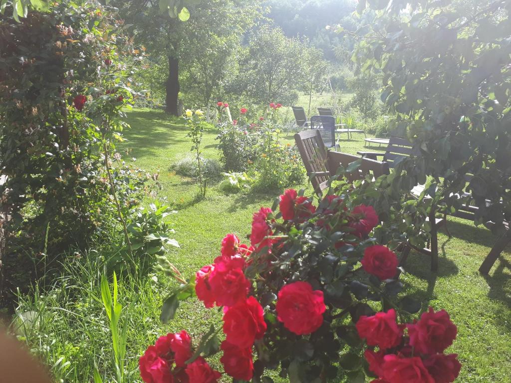 a garden with red roses and benches in the grass at Guest House Family Varda Plitvice Lakes in Plitvička Jezera