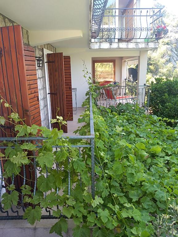 Apartments Villa Čučuk - 18