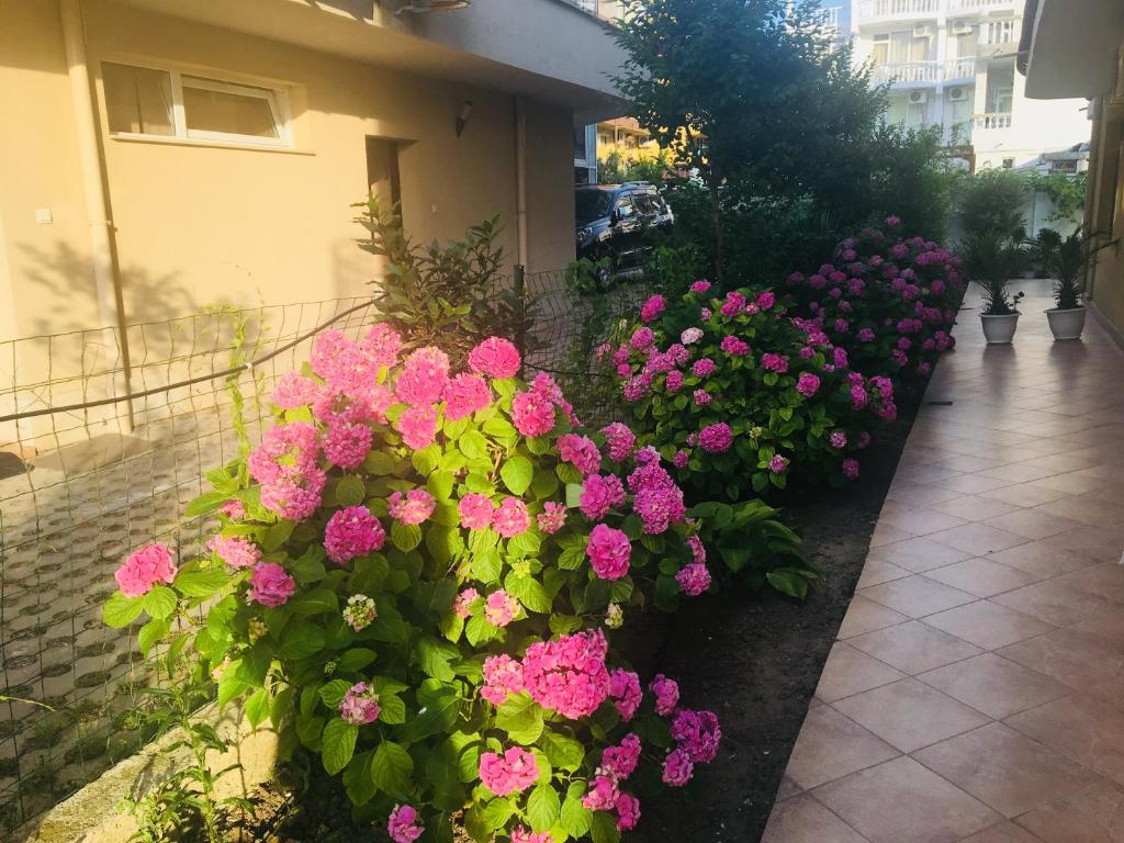 Zahrada ubytování Hotel Elmaz