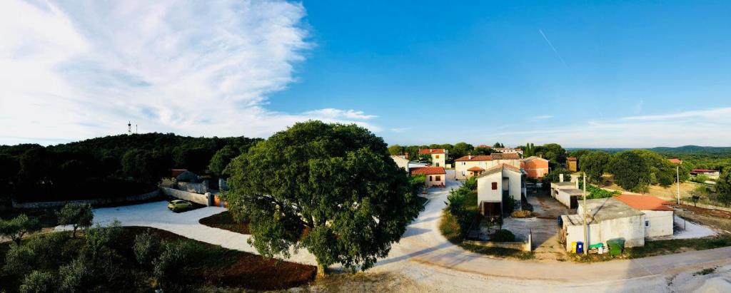 Guest House Maxi - 13