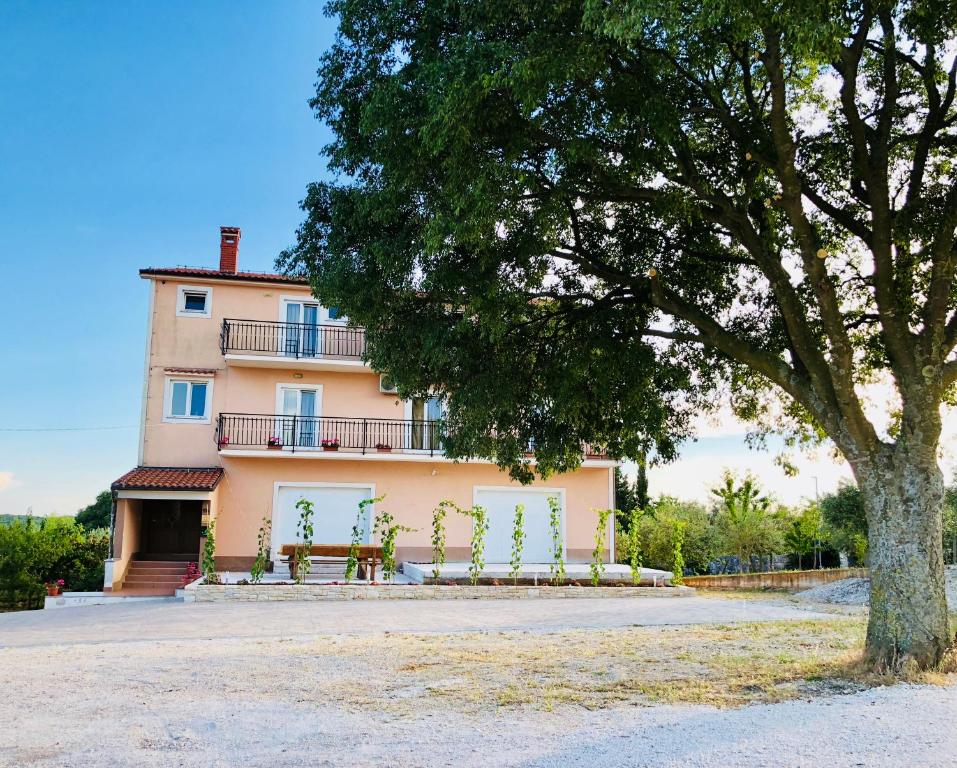 Guest House Maxi - 11