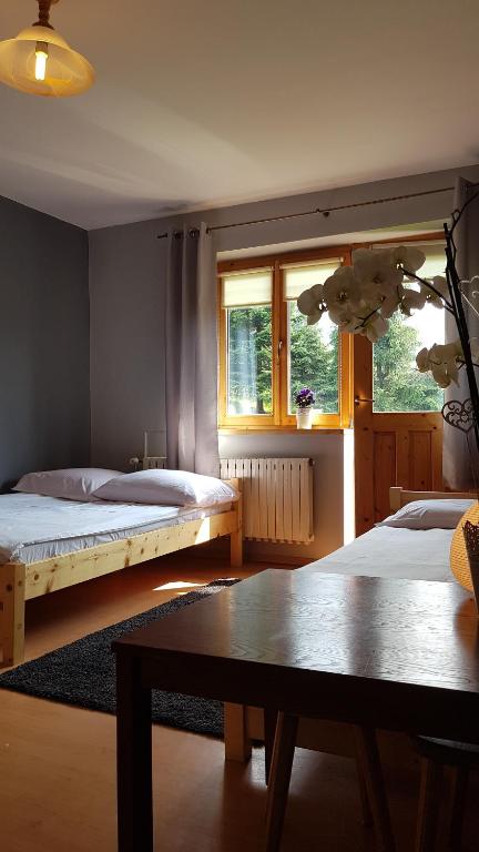 ポロニンにあるRysiówkaのベッドルーム1室(ベッド2台、テーブル、窓付)