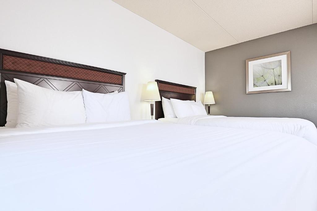 LELUX Hotel - Resim 31