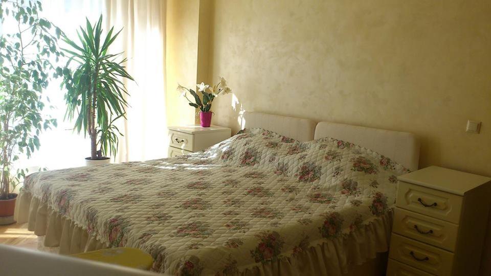a bedroom with a bed and a window and a plant at Апартамент Граф Игнатиев in Varna City