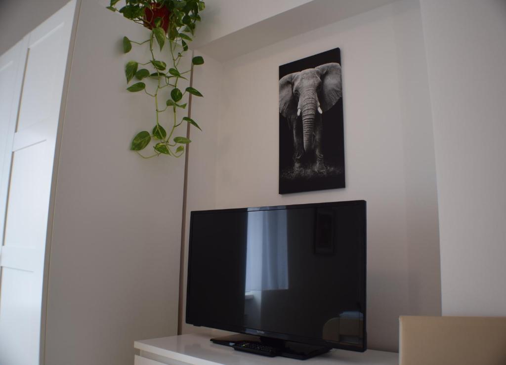TV a/nebo společenská místnost v ubytování Apartmány Lípa