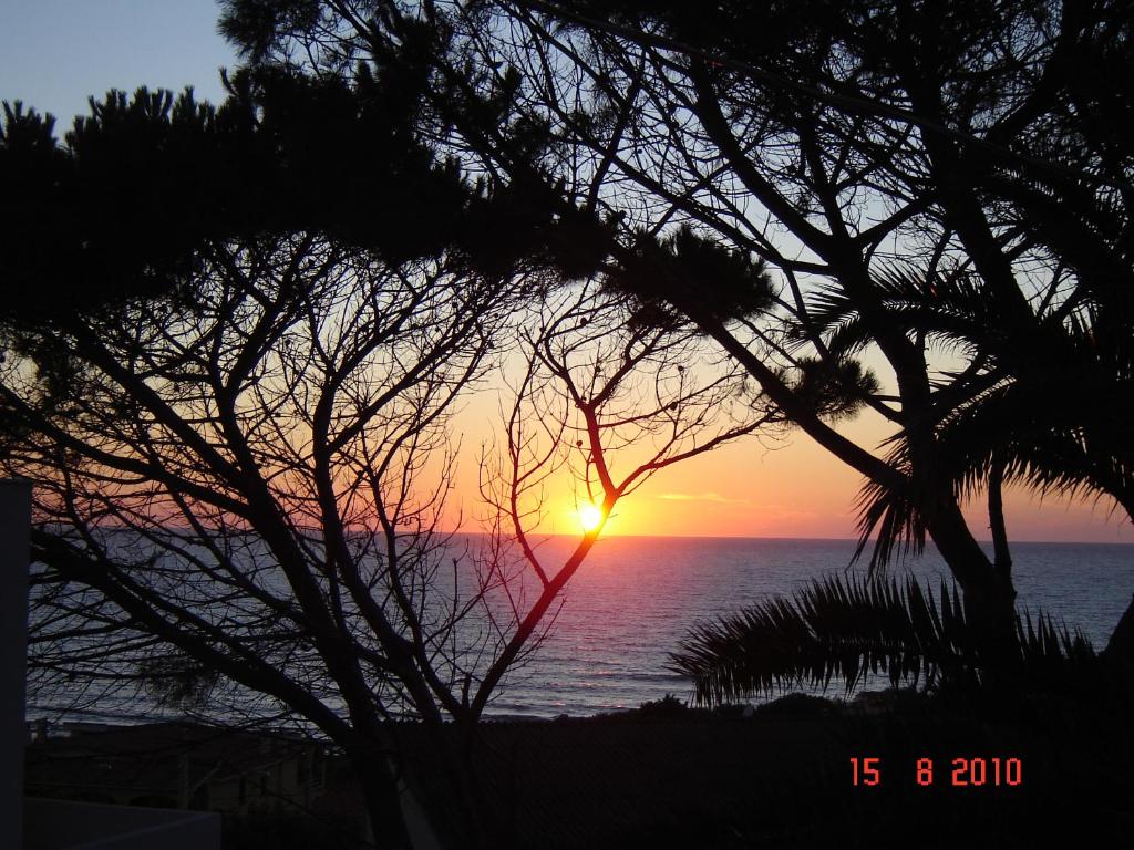 een zonsondergang over de oceaan, door bomen bekeken bij casa giafra in S'archittu Cuglieri