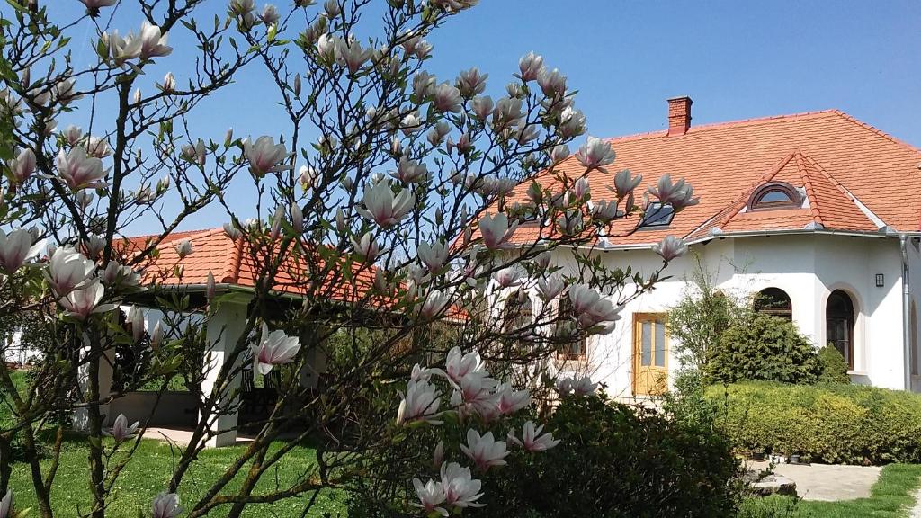 Zahrada ubytování Frutta Villa