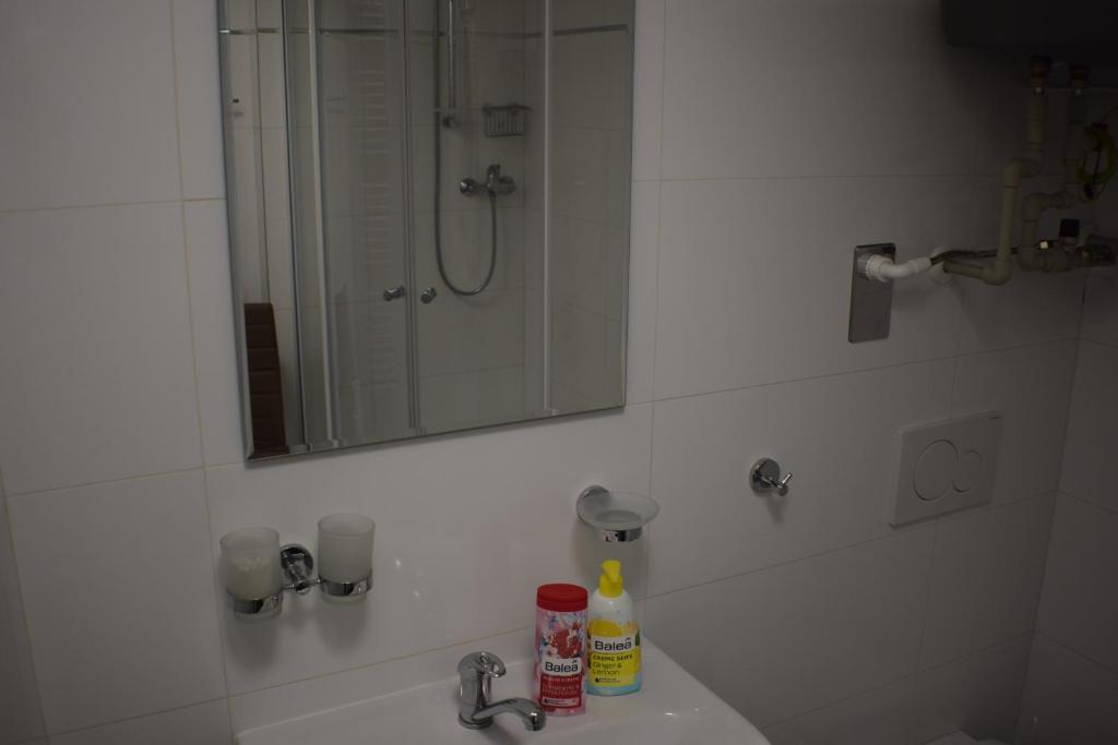 Koupelna v ubytování Apartmány Lípa
