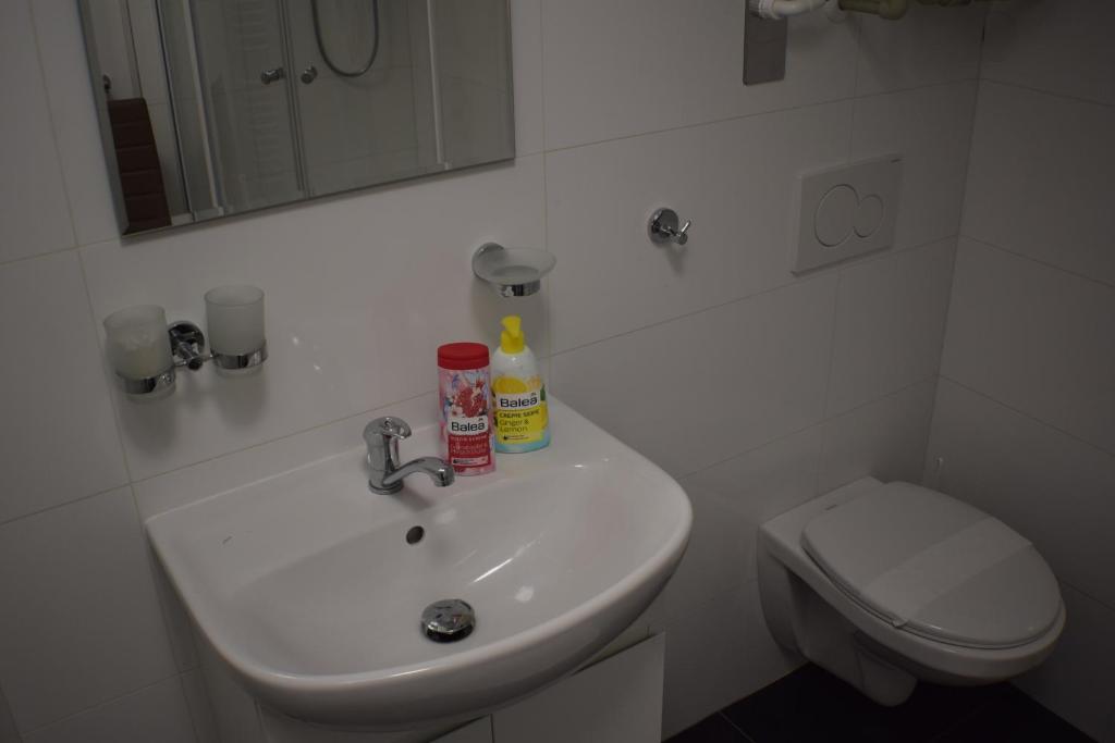 Koupelna v ubytování Apartmány Lípa