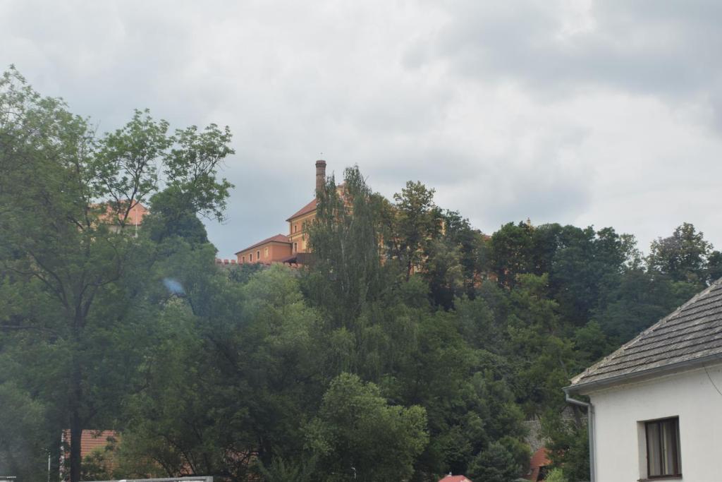 Příroda nedaleko apartmánu