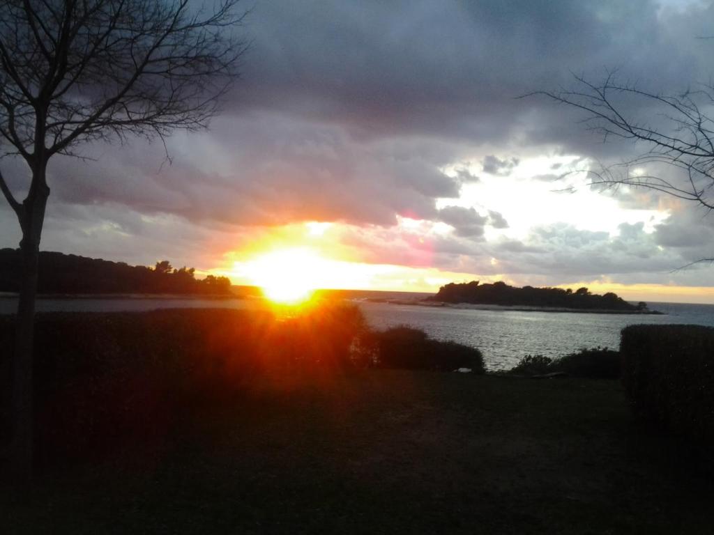 una puesta de sol sobre un cuerpo de agua con un árbol en Apartments Casa Karmen, en Pula