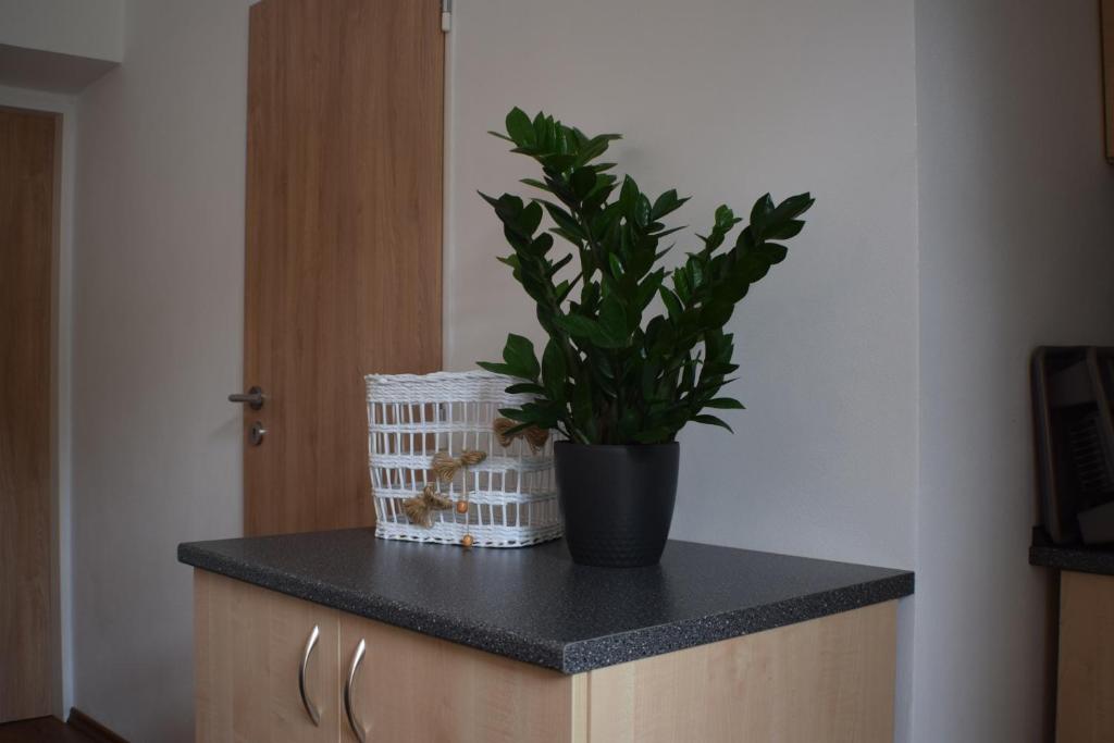 Fotografie z fotogalerie ubytování Apartmány Lípa v Táboře
