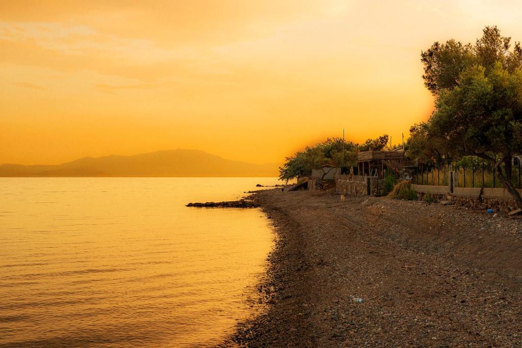 einen Strand mit Sonnenuntergang über dem Wasser in der Unterkunft Kayalar Blue Beach Hotel in Sazlı