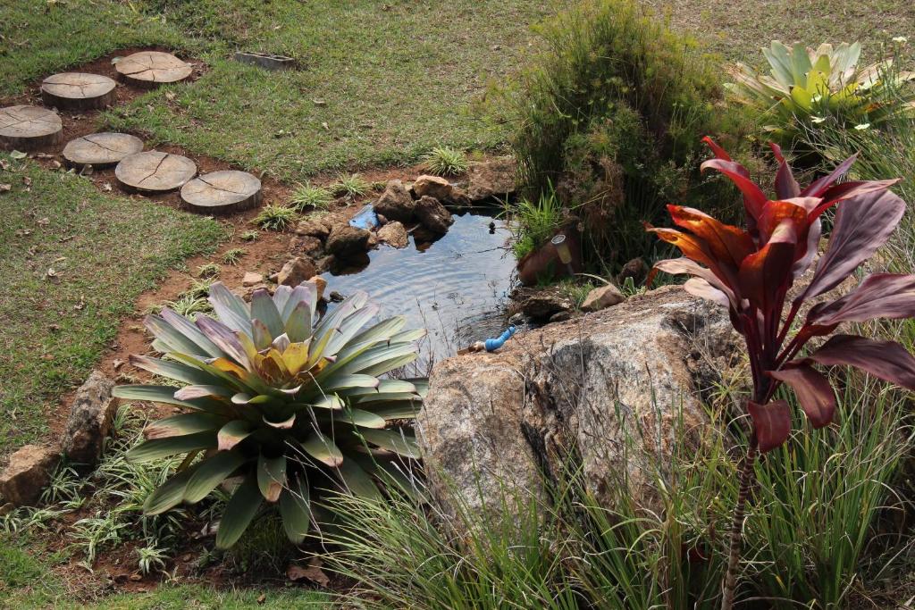  Sitio Terras de Piata