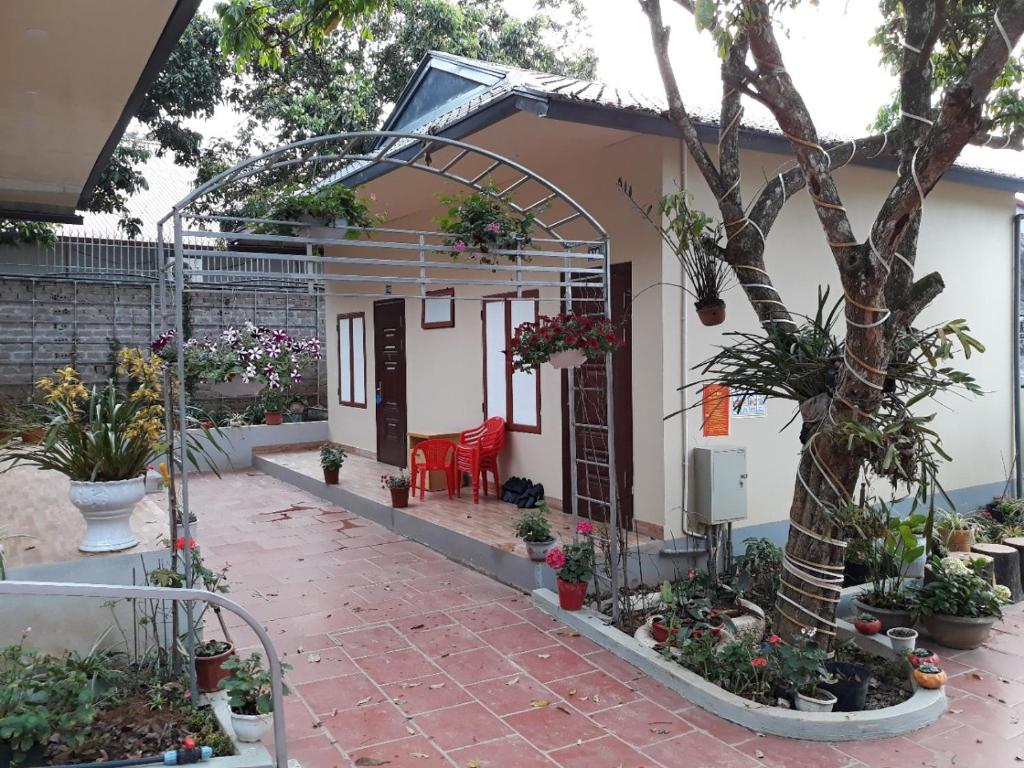 ein kleines Haus mit einem roten Stuhl und einigen Pflanzen in der Unterkunft Trúc Linh Mộc Châu Hostel in Mộc Châu