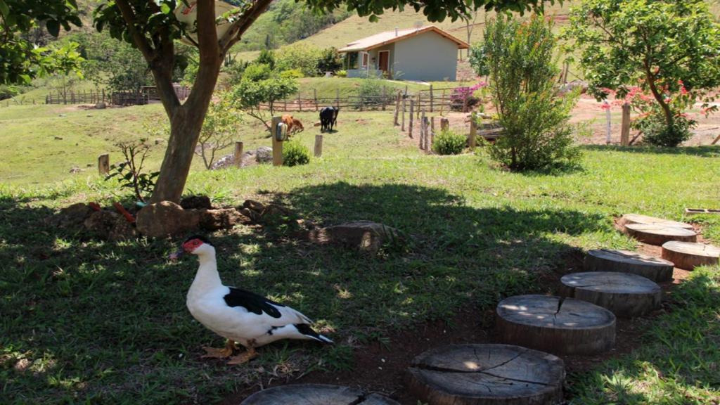  Sitio Terras de Piata